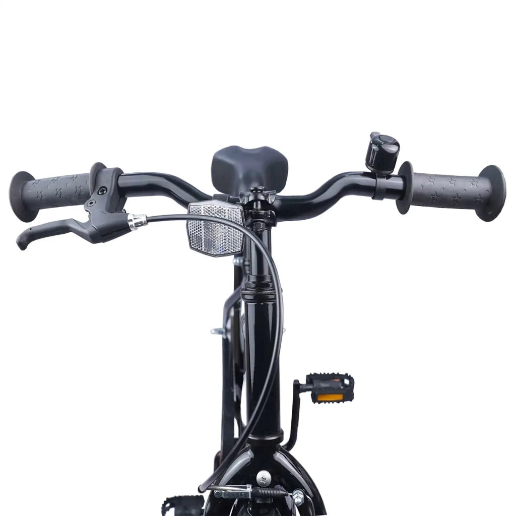 Bicicletta per Bambini 20 Pollici 42009511