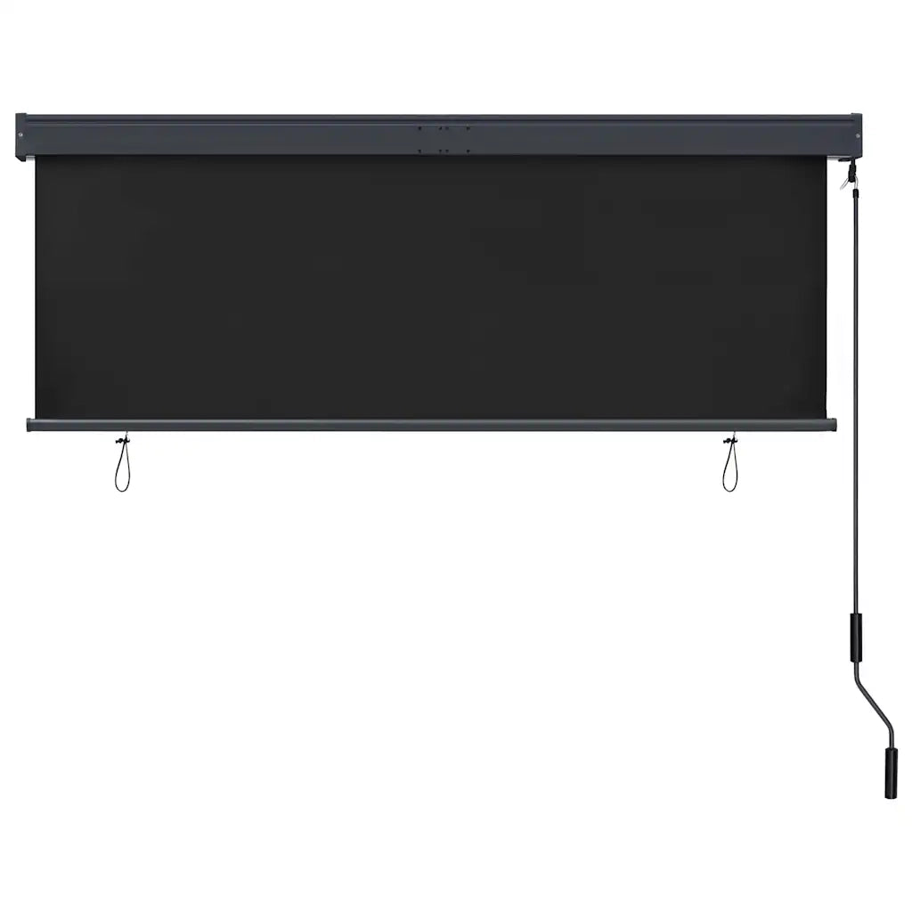 Tenda a Rullo per Esterni 160x250 cm Antracite cod mxl 68273