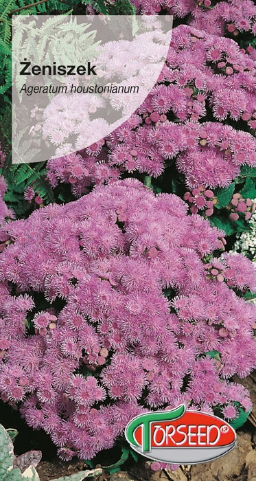 Żeniszek - Ageratum houstonianum rosa 0,25g