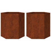 2 pz Fioriere | Cassetta per fiori | Vaso da Giardino Esagono 46x40x45 cm in acciaio corten