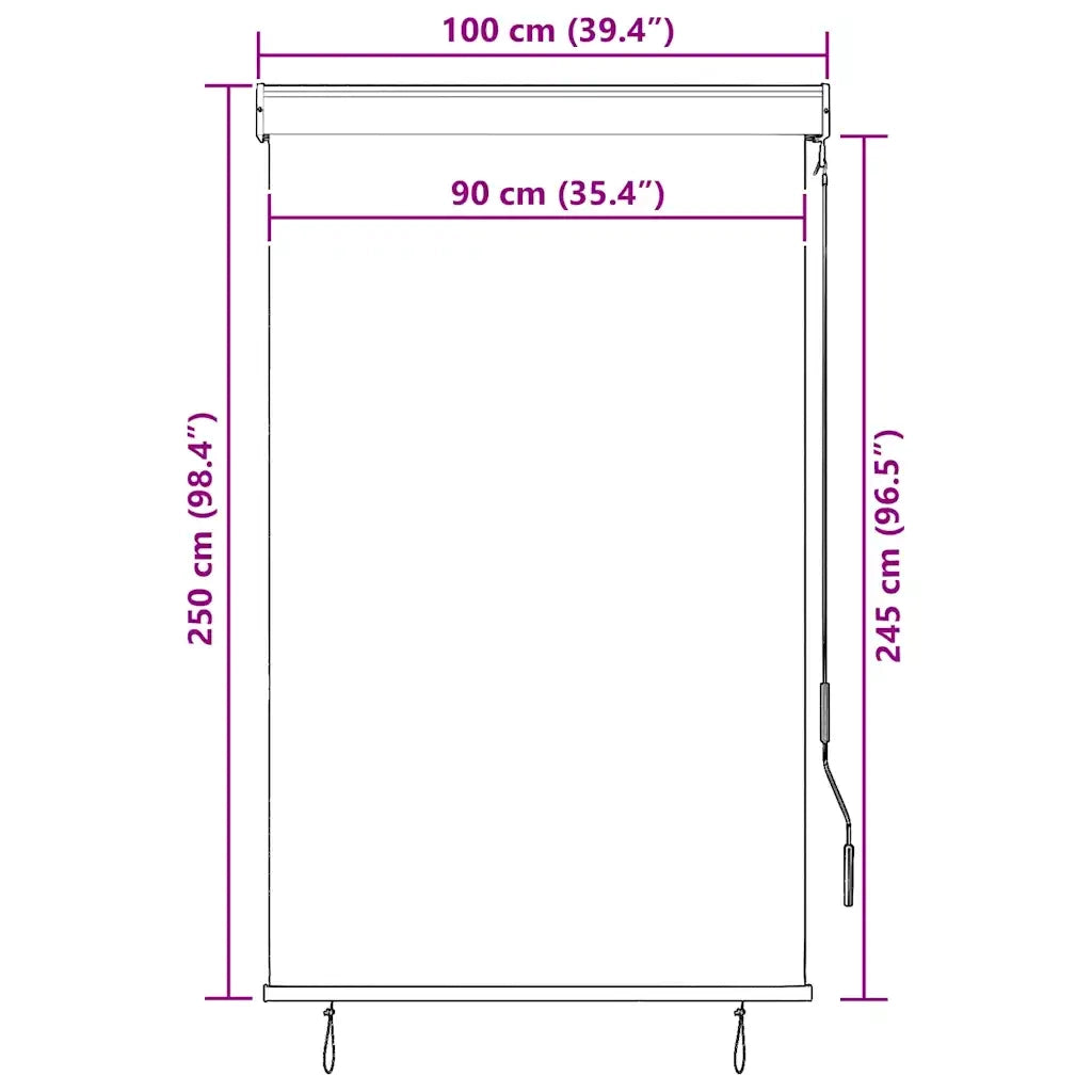 Tenda a rullo | Tenda avvolgibile per Esterni 100x250 cm Crema