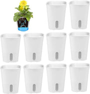 Set di vasi autoirriganti - Set da 10 con indicatore di livello di acqua per interni ed esterni (95cm)