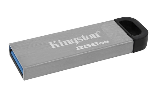 Kingston DTKN/256GB
