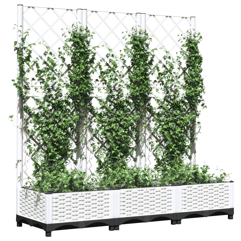 Fioriera | Cassetta per fiori | Vaso da giardino con traliccio bianca 120x40x121,5 cm PP