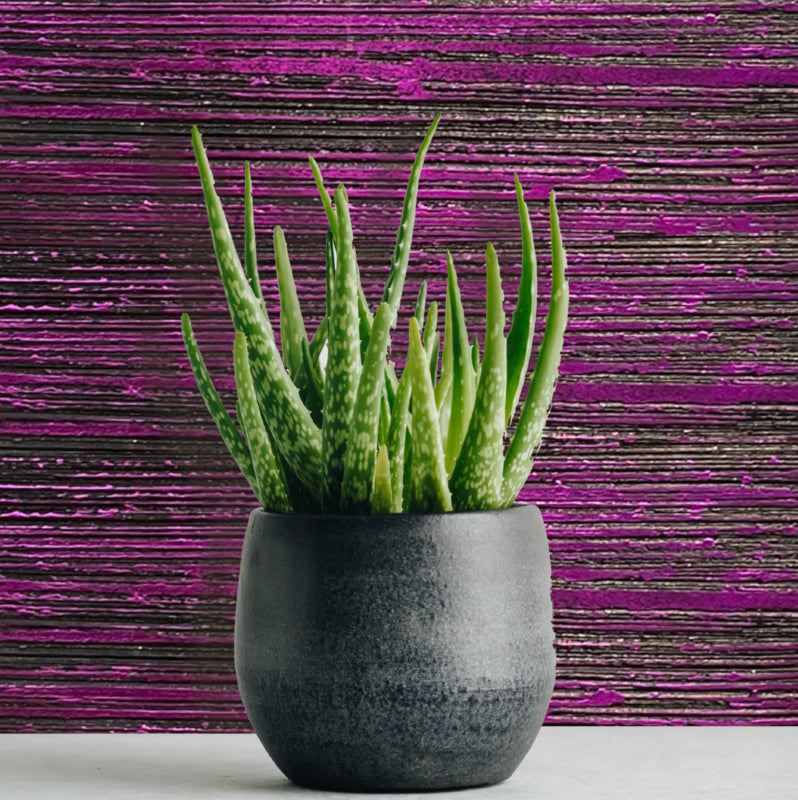 Kit Laminato Metallico Decot Lux + Primer Adesivo - Colore Celeste