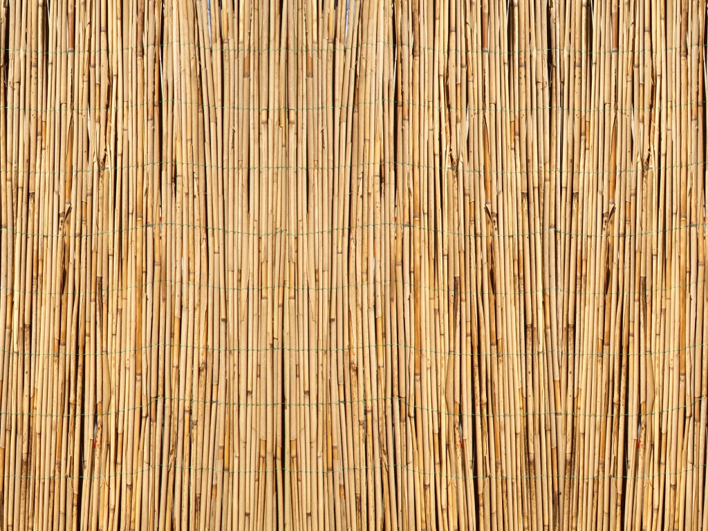 Arella In Bambù Per Recinzioni Frangivento Canne Di Bamboo Naturale Naturale - 1,5x3 M
