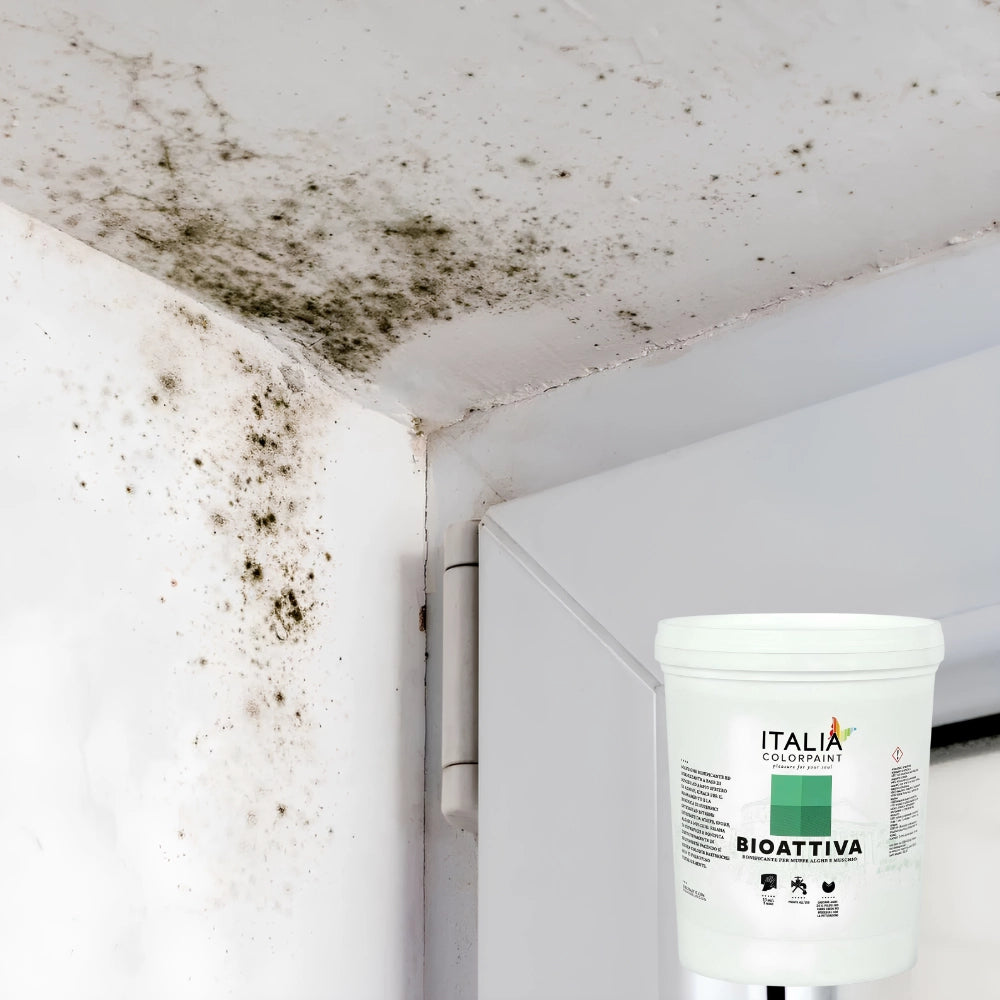 Risanamento pareti sanificante bonificante muffa spore alghe muschi bioattiva *** formato 1 lt, confezione 1