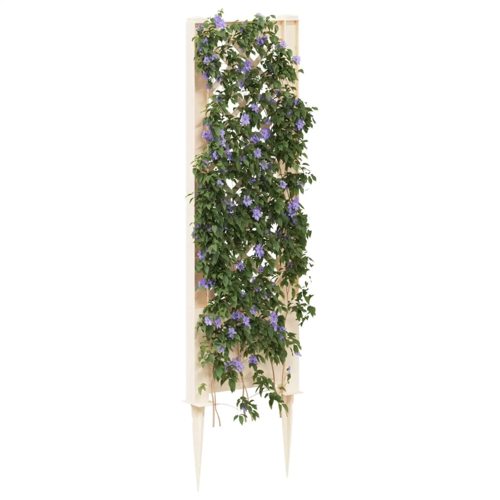 Trellis con Punta Bianco 43 x 6 x 165 cm PP CFW5779177