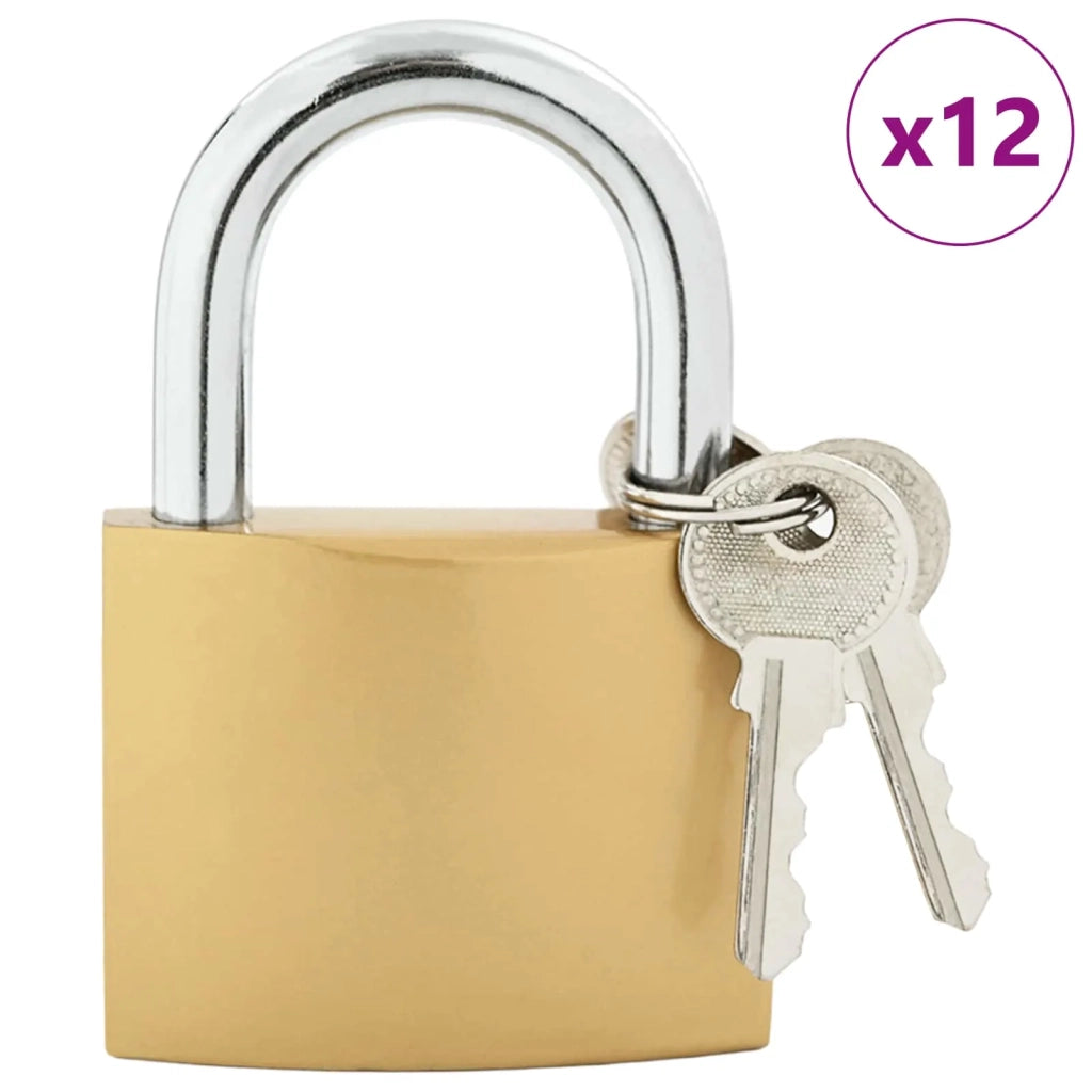 U Lock con Chiavi 12 pz Ottone Ferro CFW8312407