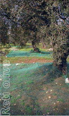 Rete antispina olive occhiellata Taglia: 4 X 8