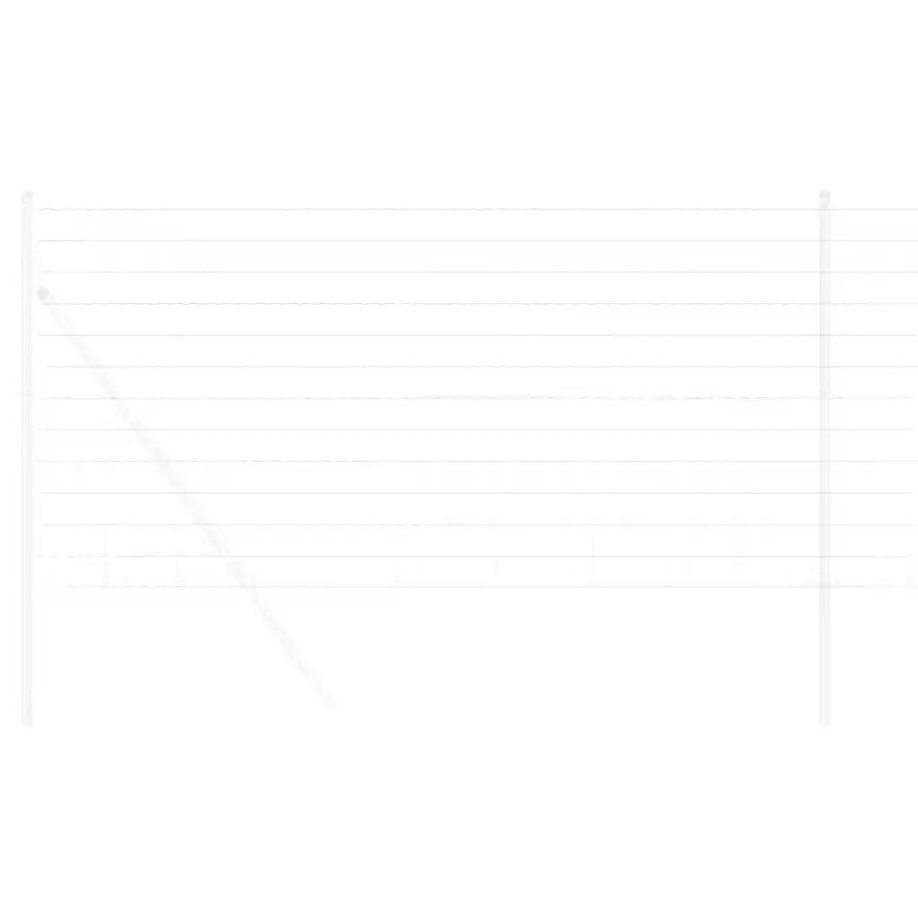 Recinzione Euro 1,2 x 25 m Ferro rivestito in PVC 42004686