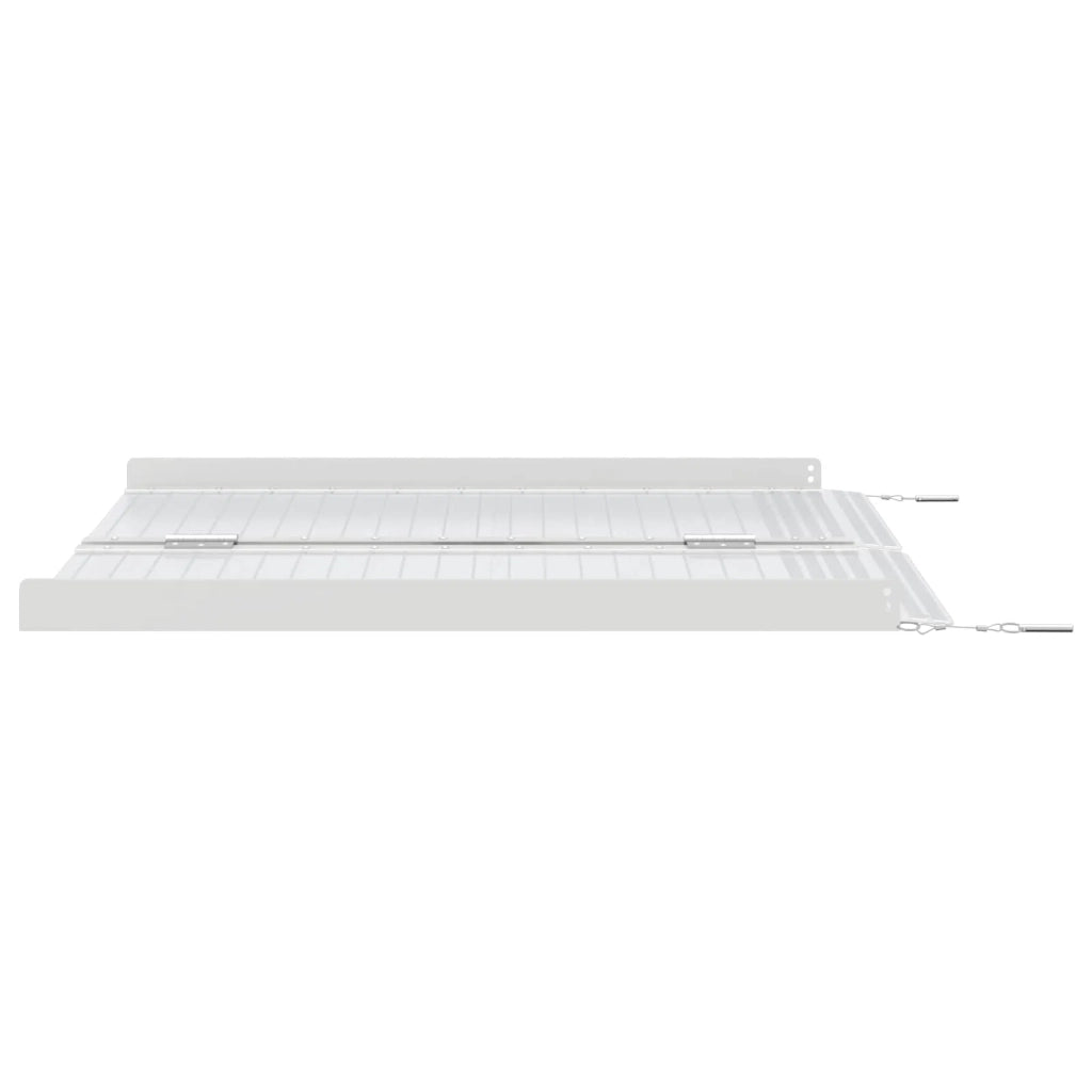 Rampa per sedia a rotelle 270 kg Argento 270 kg Alluminio