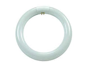 CIRCOLINE TRIFOSFORO FLUORESCENTI T9 G10Q- - 32w - 6500  °K fredda - 2000 lm - 305x30 - 6 pezzi AIRAM