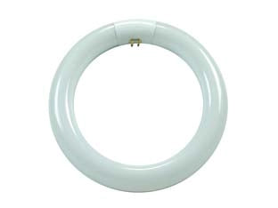 CIRCOLINE TRIFOSFORO FLUORESCENTI T9 G10Q- - 32w - 6500  °K fredda - 2000 lm - 305x30 - 6 pezzi AIRAM