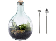 Terrario Bottle Garden 55L cm47x47x69,5h - terrario in bottiglia di vetro con kit di manutenzione