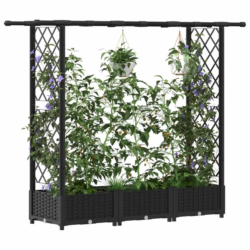 Letto Rialzato con Griglia e Tetto Nero 164 x 40 x 123 cm PP 42032540