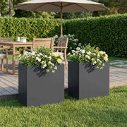 Vaso da giardino 2 pz Antracite 50 x 30 x 50 cm 8005531