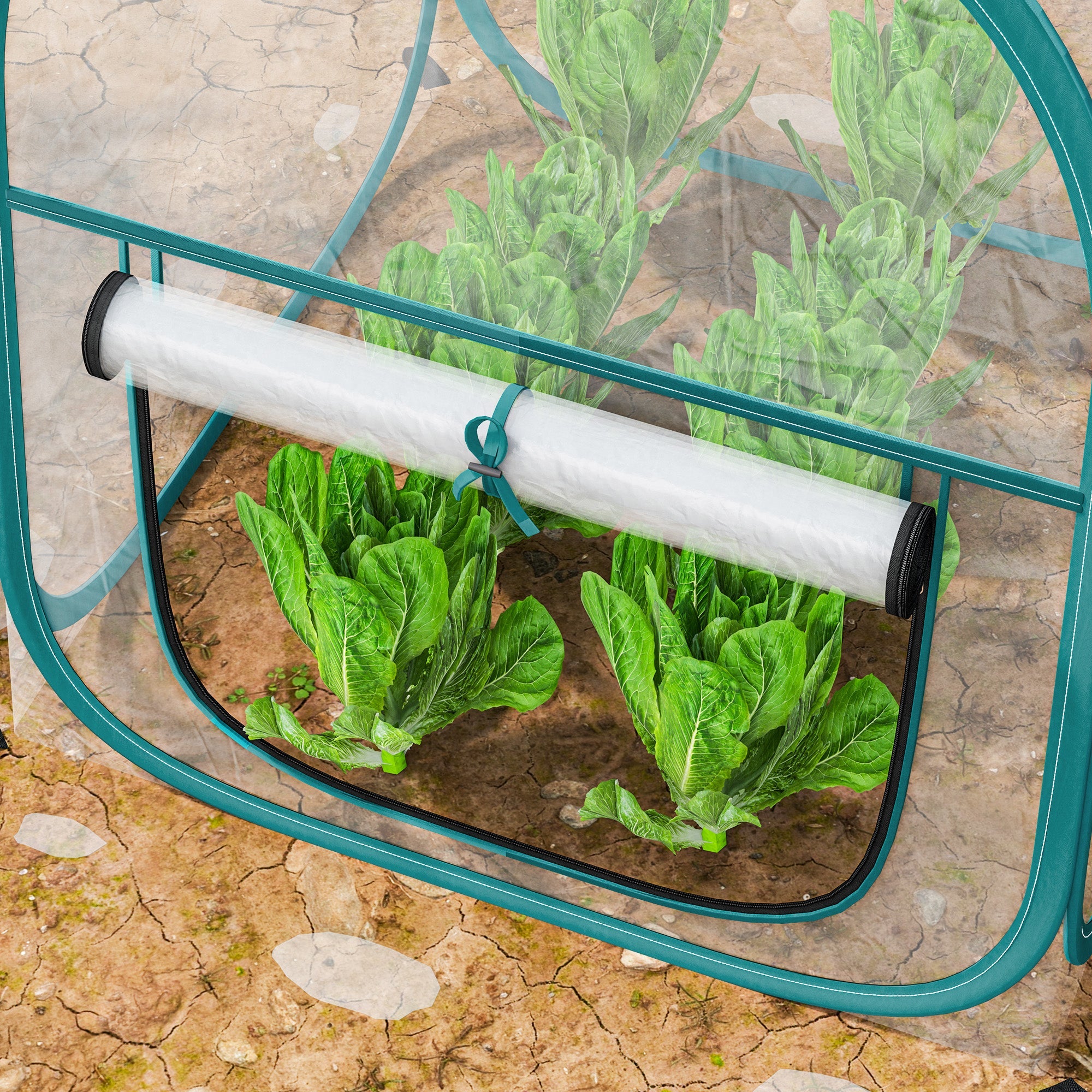 Mini Serra Pop Up 70x70x80 cm Pieghevole in Acciaio e Plastica