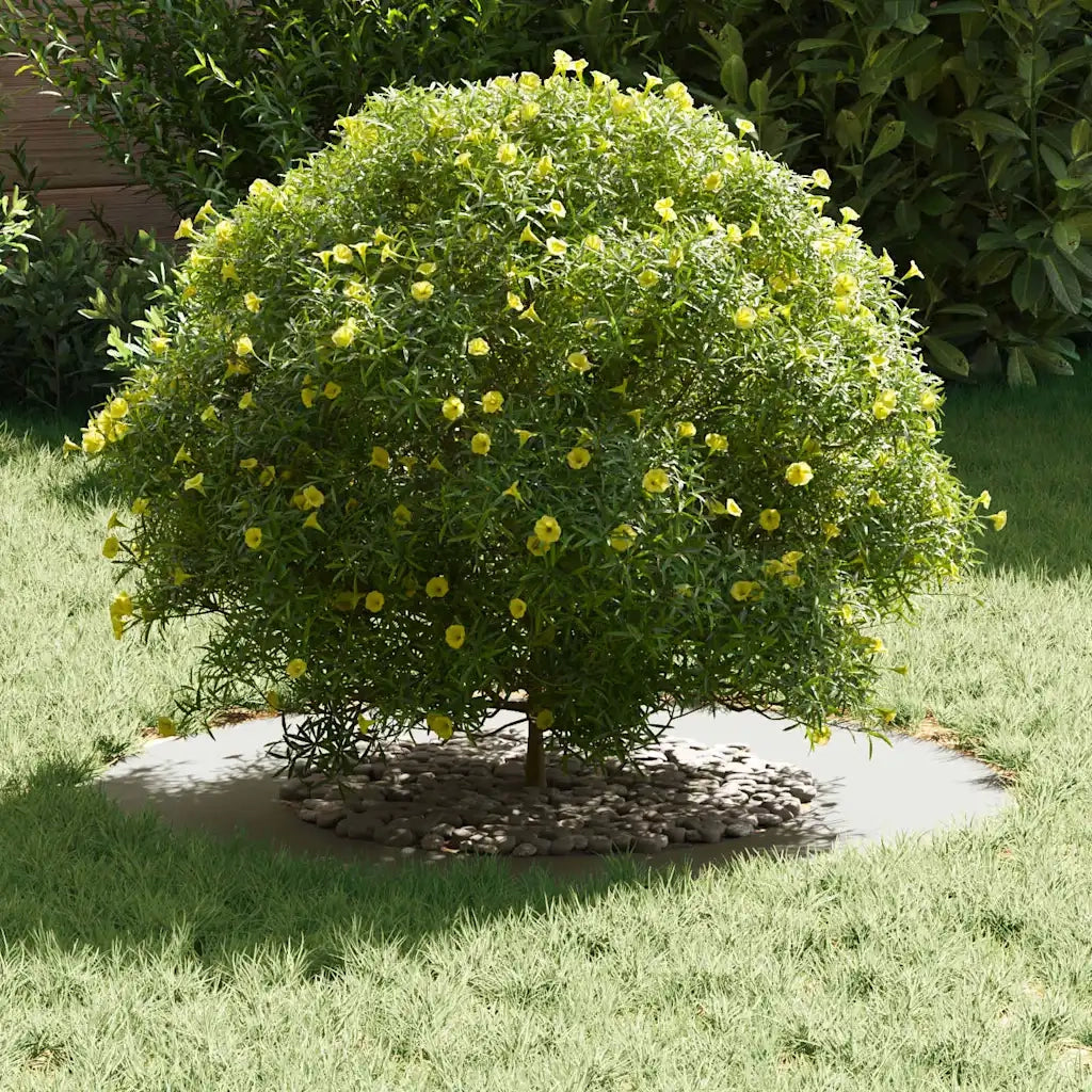 adatto per Anello d'Albero Piatto Bianco ?40 / 70 cm Acciaio CFW6319965