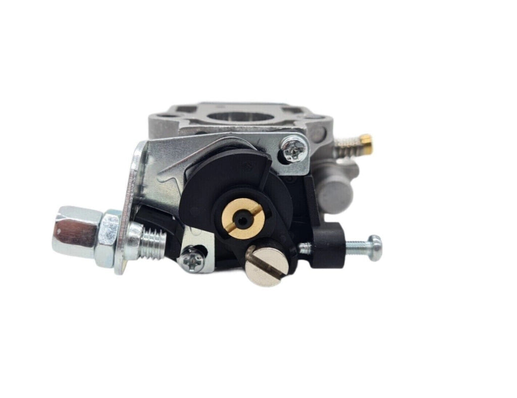 Carburatore per decespugliatore 43cc 52cc foro 15mm con filtro carburante GC430