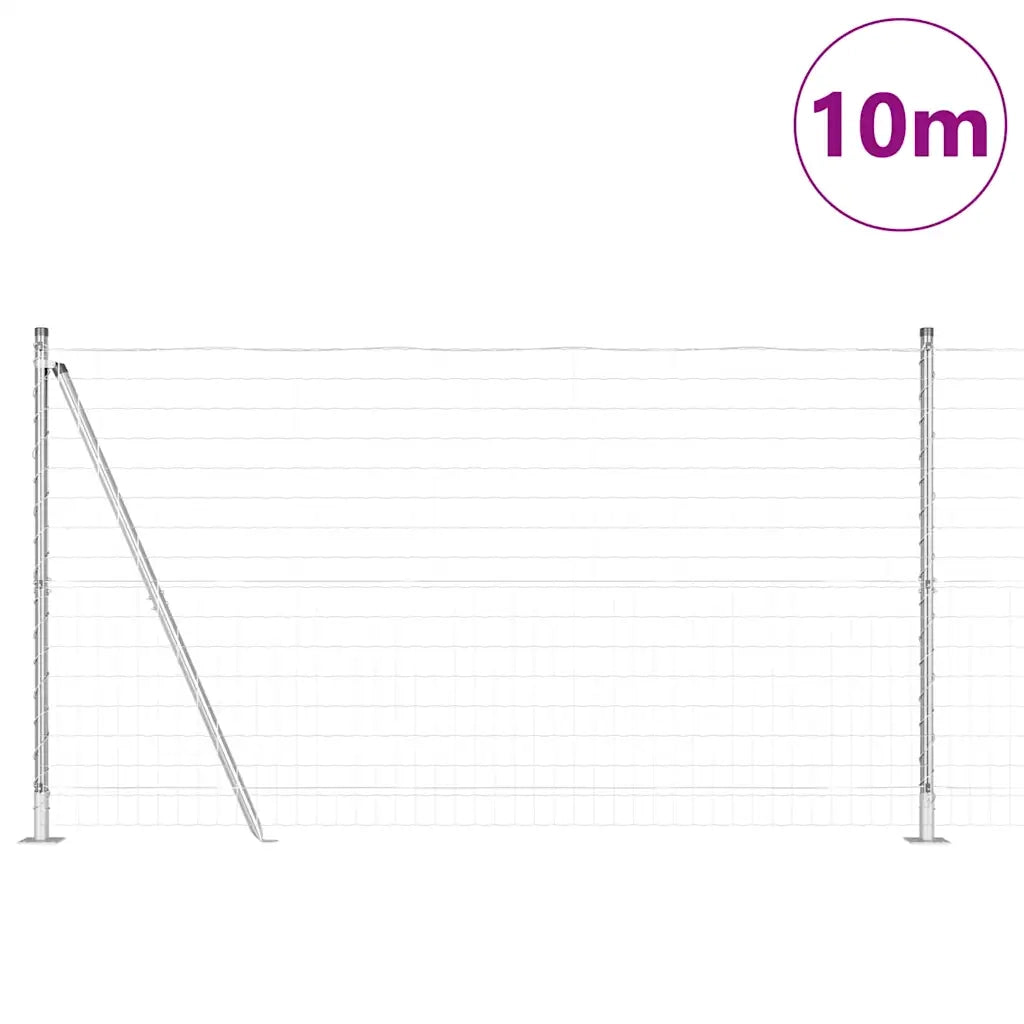 Recinzione con Posto Argento 1,2 x 10 m Acciaio