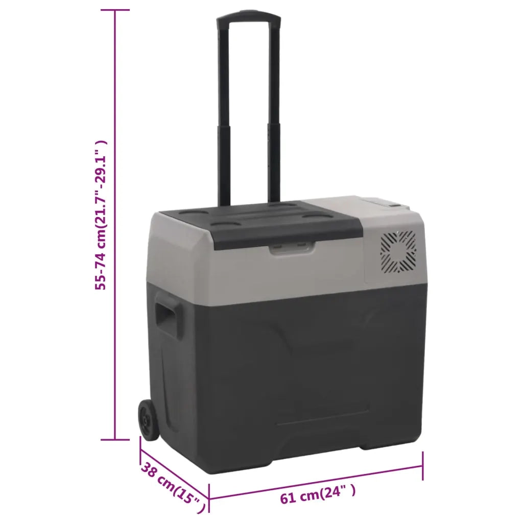 Borsa Frigo con Manico e Ruote Nera e Grigia 50 L Polipropilene