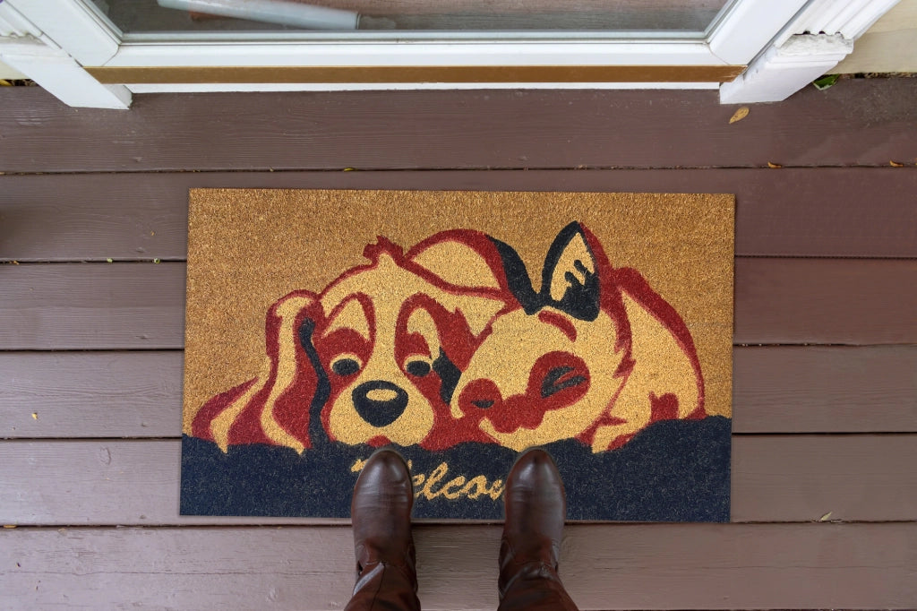 Zerbino Ingresso Casa In Fibra Di Cocco Con Base In Pvc  DoggKitty