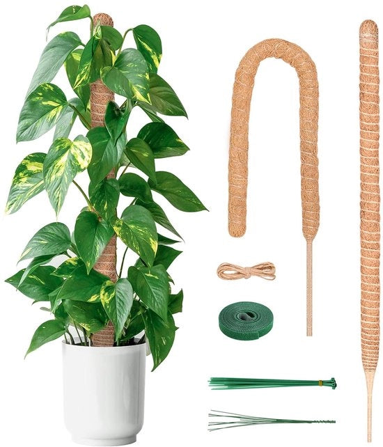 Supporto per piante a forma di conchiglia 120 cm - 2 pezzi - Supporto per piante a forma di conchiglia - Sostegno per piante rampicanti - Sostegno per piante - Avvertenza di sicurezza - Sostegno per piante rampicanti