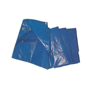 C TELO OCCHIELLATO PE BLU  6X 8M  85GR