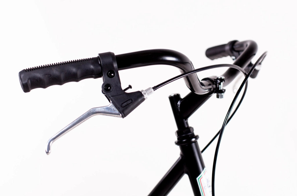 MARIO SCHIANO Olanda 26 , bici da passeggio , 1 velocita' , Nera