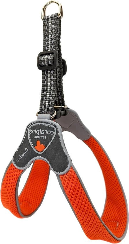 Carrello per piccoli cani morbido e respirante - colore arancione - misura 3