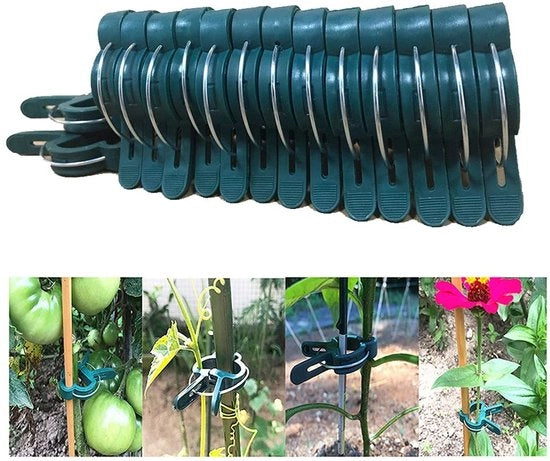 Clips per piante - 60 pezzi - Clips grandi/piccoli - In plastica - Fissaggio per piante da serra - Giardinaggio - Stabilità per piante - Aiuto per piante