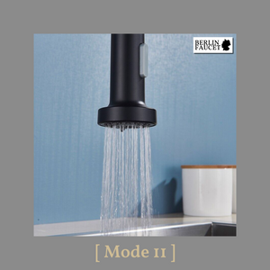 Bernd | Rubinetto Flessibile Catering Black Gold |da cucina in acciaio inossidabile|miscelatore può essere ruotato  360 gradi Alta pressione 2 porte