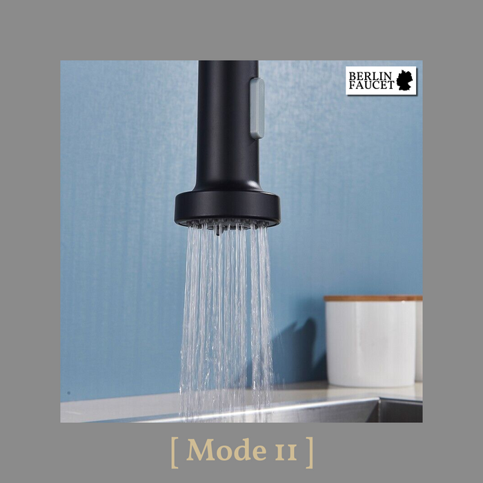 Bernd | Rubinetto Flessibile Catering Black Gold |da cucina in acciaio inossidabile|miscelatore può essere ruotato  360 gradi Alta pressione 2 porte