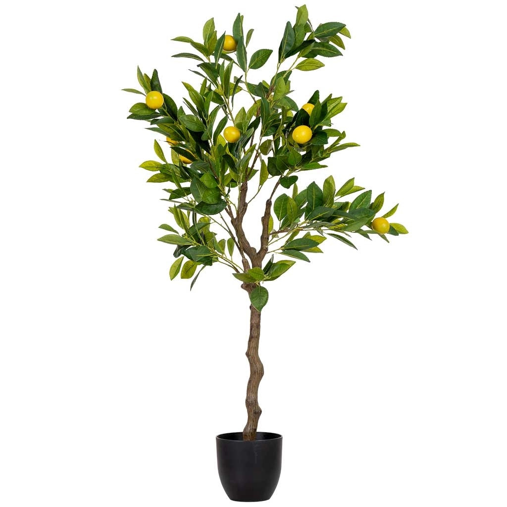 Albero di limone artificiale decorativo verde 55x55x120cm