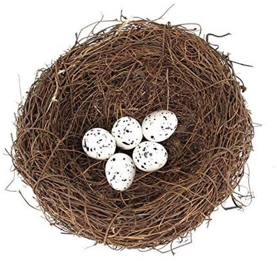 Nido per Uccelli con 5 Uova Finte - Nido Artificiale - Manufatto a Mano - Decorazione Pasqua - Materiale Sostenibile Rotangras - Decorazione Creativa Unica