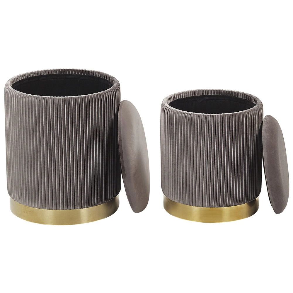 Set di 2 pouf contenitore Rivestimento in velluto di poliestere grigio Base dorata Design moderno Ciuffo orizzontale Soggiorno pezzo