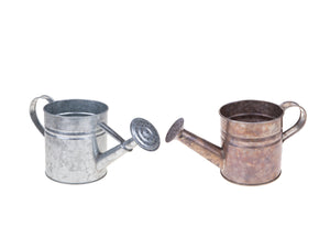 Set 6 Annaffiatoi Ø 10x105H cm