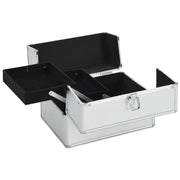 Valigia per Cosmetici 22x30x21 cm Argento in Alluminio CFW1321788