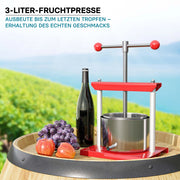 Torchietto per frutta in acciaio inox 3 litri Pressa manuale frutta