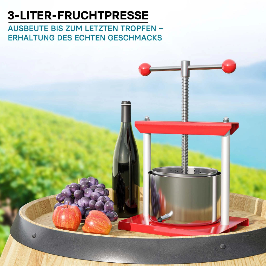 Torchietto per frutta in acciaio inox 3 litri Pressa manuale frutta