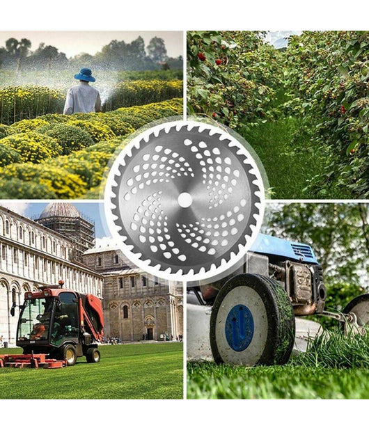 Disco Per Decespugliatore Ricambio Lama Tosaerba 40 Denti à¸ 255 X 25,4 Mm 05301         