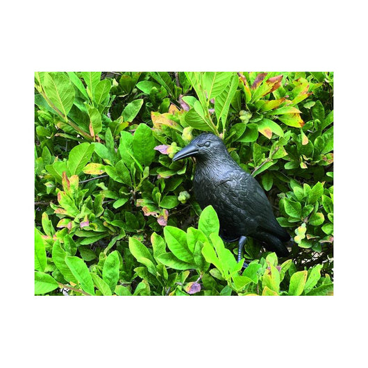 Dissuasore per volatili Vigor, corvo, 38x12,5x23