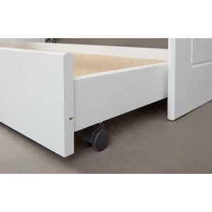 Divano letto Inter Link con letto superiore + cassone estraibile