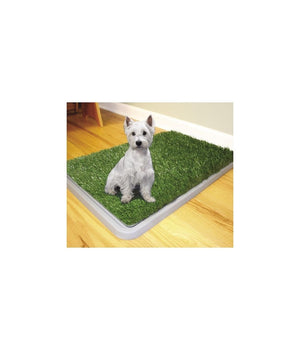 Dog Toilette Cani Potty Patch Lettiera Wc Lavabile 3 Strati Bisogni Animali 43 X 68 Cm         