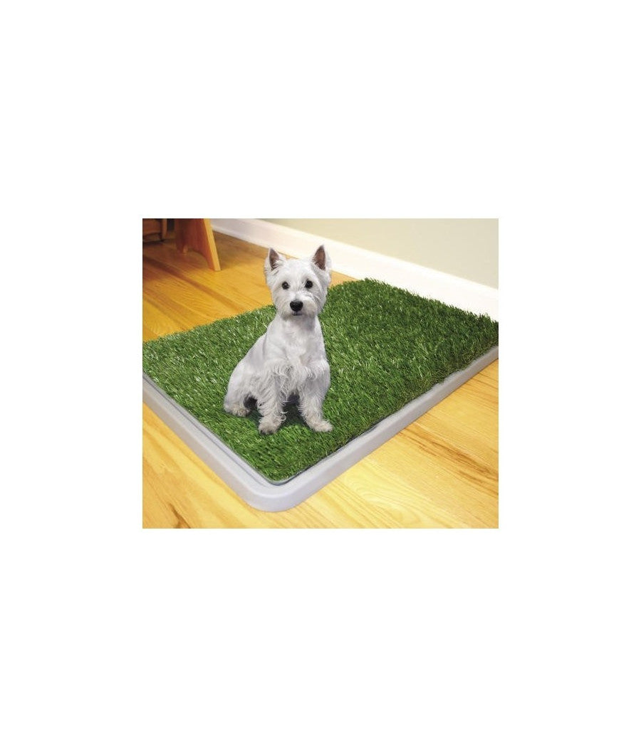 Dog Toilette Cani Potty Patch Lettiera Wc Lavabile 3 Strati Bisogni Animali 43 X 68 Cm         