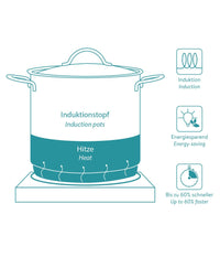 Doppia Piastra A Induzione 3500w Fornello Elettrico Con Display Digitale E Timer         