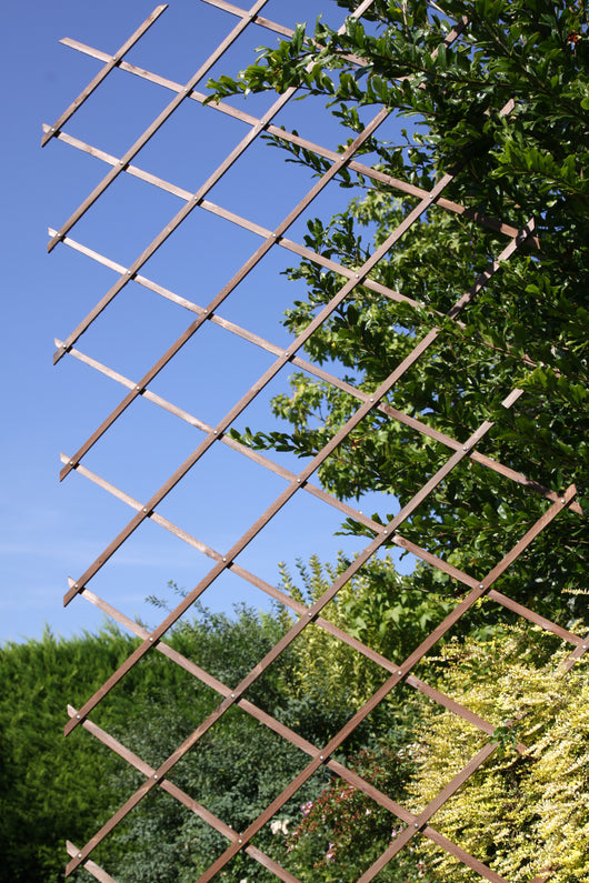 Grigliato Glicine Estendibile 180X45Cm