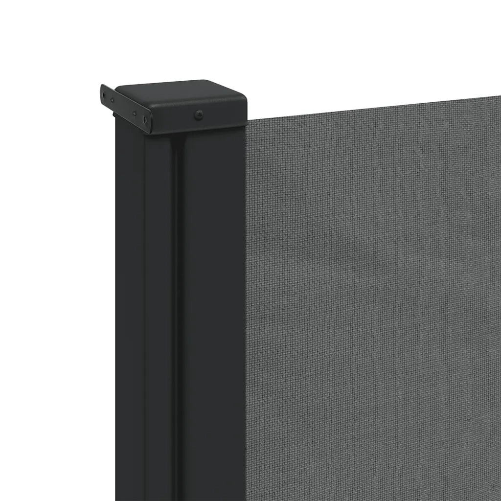 Tenda da sole laterale retrattile antracite 100x500 cm 4004398