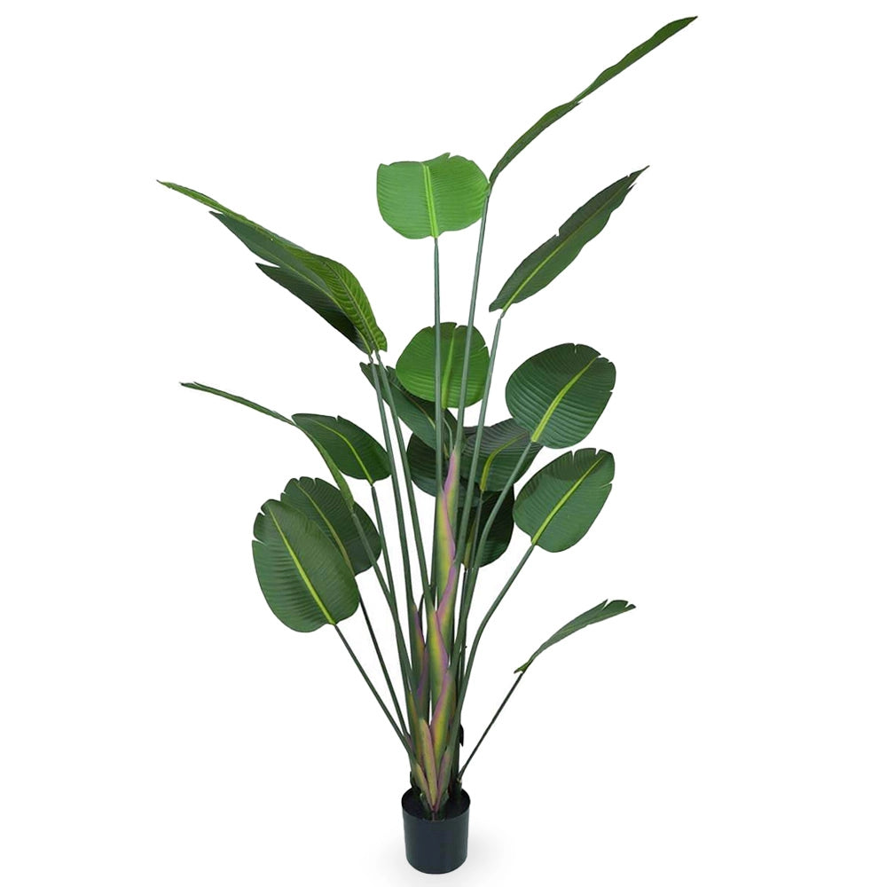 Strelitzia Artificiale con vaso pianta finta realistica decorativa h 180 cm